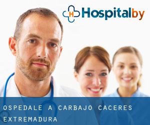 ospedale a Carbajo (Caceres, Extremadura)
