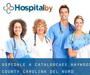 ospedale a Cataloochee (Haywood County, Carolina del Nord)