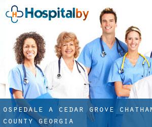 ospedale a Cedar Grove (Chatham County, Georgia)