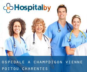 ospedale a Champdigon (Vienne, Poitou-Charentes)