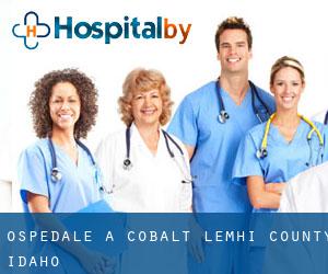 ospedale a Cobalt (Lemhi County, Idaho)