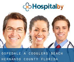 ospedale a Cooglers Beach (Hernando County, Florida)
