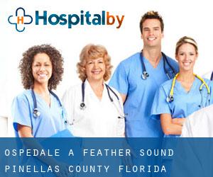 ospedale a Feather Sound (Pinellas County, Florida)