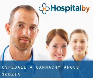 ospedale a Gannachy (Angus, Scozia)