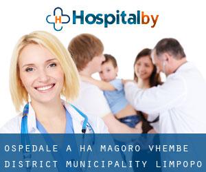ospedale a Ha-Magoro (Vhembe District Municipality, Limpopo)