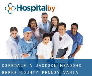 ospedale a Jackson Meadows (Berks County, Pennsylvania)