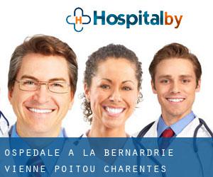 ospedale a La Bernardrie (Vienne, Poitou-Charentes)
