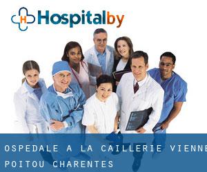ospedale a La Caillerie (Vienne, Poitou-Charentes)