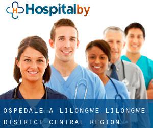 ospedale a Lilongwe (Lilongwe District, Central Region)
