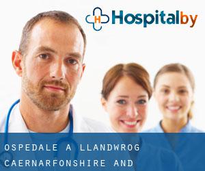 ospedale a Llandwrog (Caernarfonshire and Merionethshire, Galles)