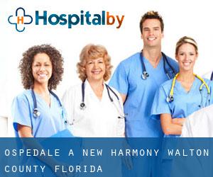 ospedale a New Harmony (Walton County, Florida)