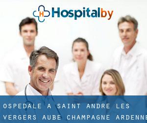 ospedale a Saint-André-les-Vergers (Aube, Champagne-Ardenne)