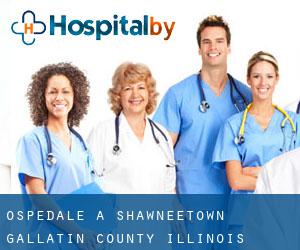 ospedale a Shawneetown (Gallatin County, Illinois)