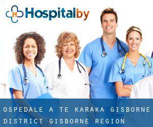ospedale a Te Karaka (Gisborne District, Gisborne Region)