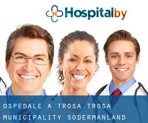 ospedale a Trosa (Trosa Municipality, Södermanland) ospedale a Trosa (Trosa Municipality, Södermanland)