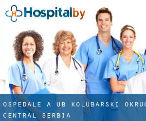 ospedale a Ub (Kolubarski Okrug, Central Serbia)