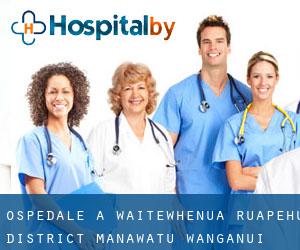 ospedale a Waitewhenua (Ruapehu District, Manawatu-Wanganui)