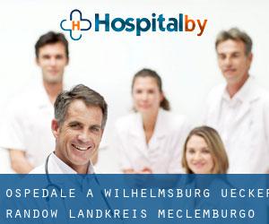 ospedale a Wilhelmsburg (Uecker-Randow Landkreis, Meclemburgo-Pomerania Anteriore)
