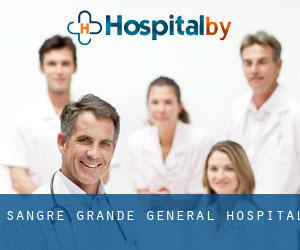 Sangre Grande General Hospital
